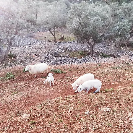 Δωμάτια σε οικογενειακή κατοικία No Stress On